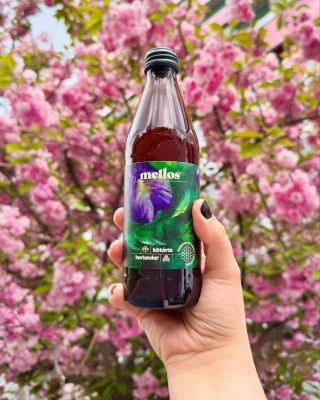 Vidíte to umelecké dielo, ktoré vytvorila príroda? 🌿 Nie, teraz nemyslíme ten nádherne rozkvitnutý strom - ale našu medovú...