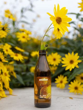 Zázvor v lete? Jednoznačne ÁNO! 🙌 Hoci sa často považuje za hrejivý, jemne prekrvuje, podporuje trávenie a vďaka...