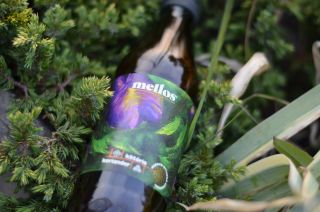 🦋 Osviežujúca limonáda, ktorá ťa upokojí a podporí koncentráciu? Mellos Klitória & Koriander nie je len vynikajúce...